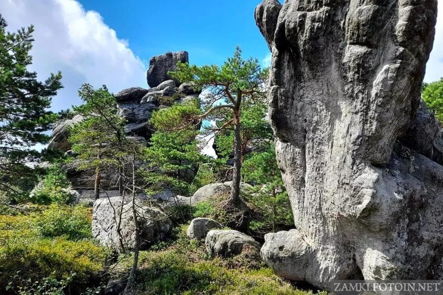 Pokoje U Filipa Kudowa-Zdrój Exteriör bild